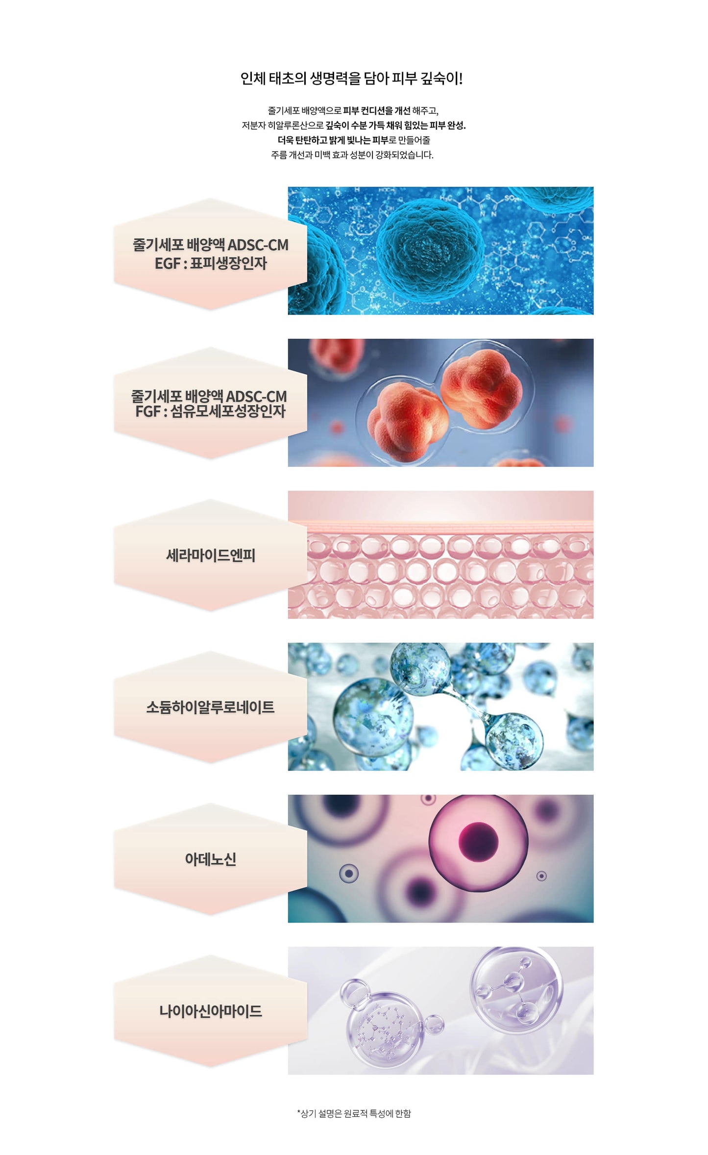 STEM CELL CULTURE MEDIUM AMPOULE 10%