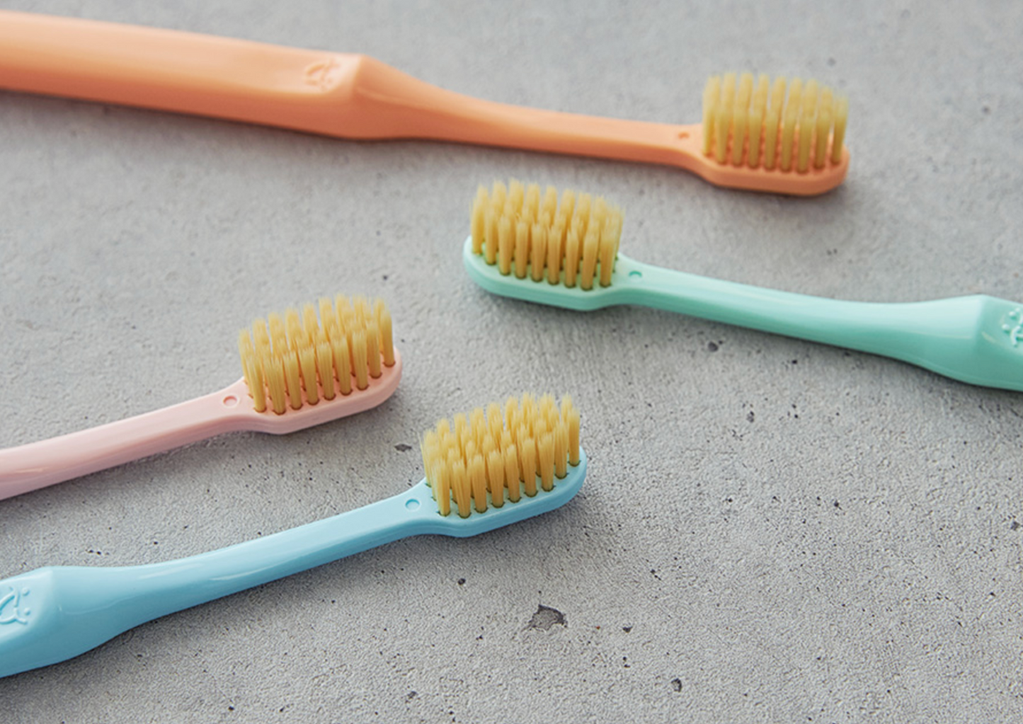 Sugarcane tooth brush set